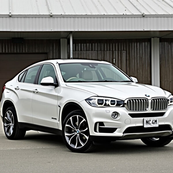 BMW X6 – opinie, cena, dane techniczne, wymiary, spalanie, osiągi